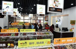 加盟什么连锁最挣钱,餐饮业领跑，多元化市场潜力无限