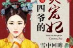 四爷的心尖宠妃,倾世妃子的宫廷传奇