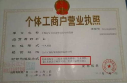个体户营业执照如何年检,轻松完成网上年报流程