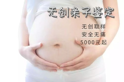 胎儿亲子鉴定多少钱一次,不同类型及影响因素全解析