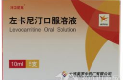 左卡尼汀口服液,能量代谢促进剂与疾病防治新选择