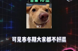 娱乐吃瓜课,吃瓜群众的娱乐盛宴