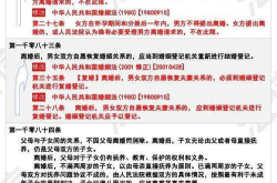 民法典包含的七个法,全面解析民事法律关系与权益保障