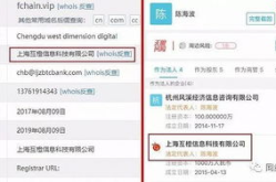 上海域名,解析趋势、机遇与挑战
