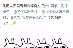 娱乐吃瓜配乐大全,盘点全网热门配乐大全