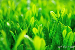 护眼桌面壁纸,护眼桌面壁纸的挑选与使用指南