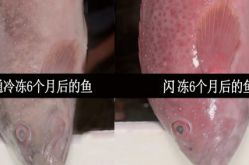被曝公布虚伪位置新闻-【公益聘请】热点岗亭申能（集团）有限公司聘请出产（海务）打点岗亭-威观宁夏：银川学不来的1元火鸡面诚挚才是必杀技《泊车场模仿》获批复游戏运营方为南京摩佰科新闻科技有限公司-58同