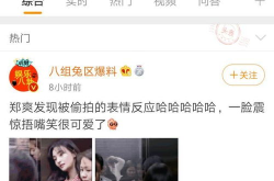 娱乐任性,揭秘明星幕后生活与疯狂事件