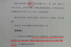 申请国家赔偿,了解您的权利与流程