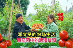 番茄家园,亲子共建美丽庭院，传承农耕文化，共享绿色生活”